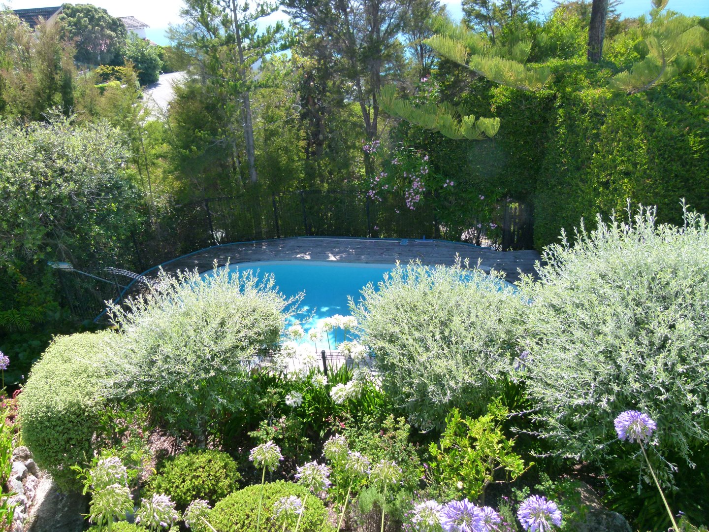 Property view 5